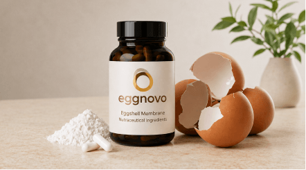 aleos-home-eggnovo