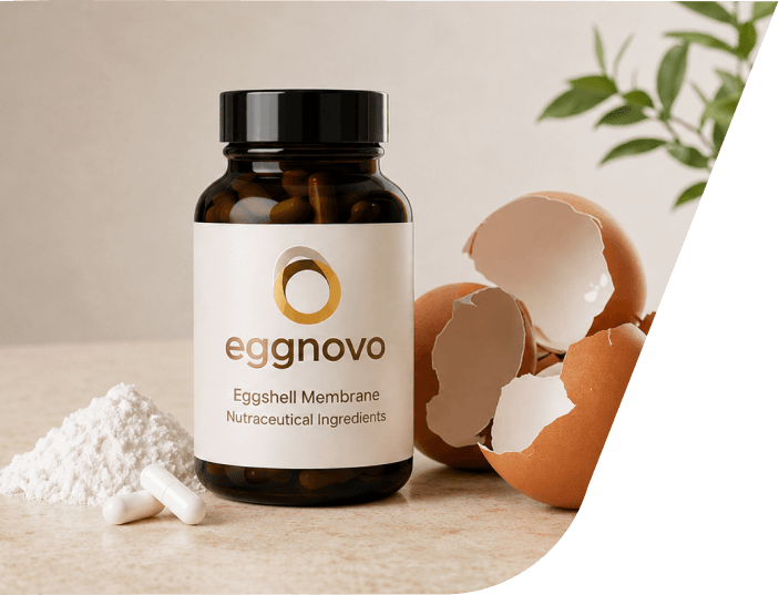 aleos-portfolio-eggnovo